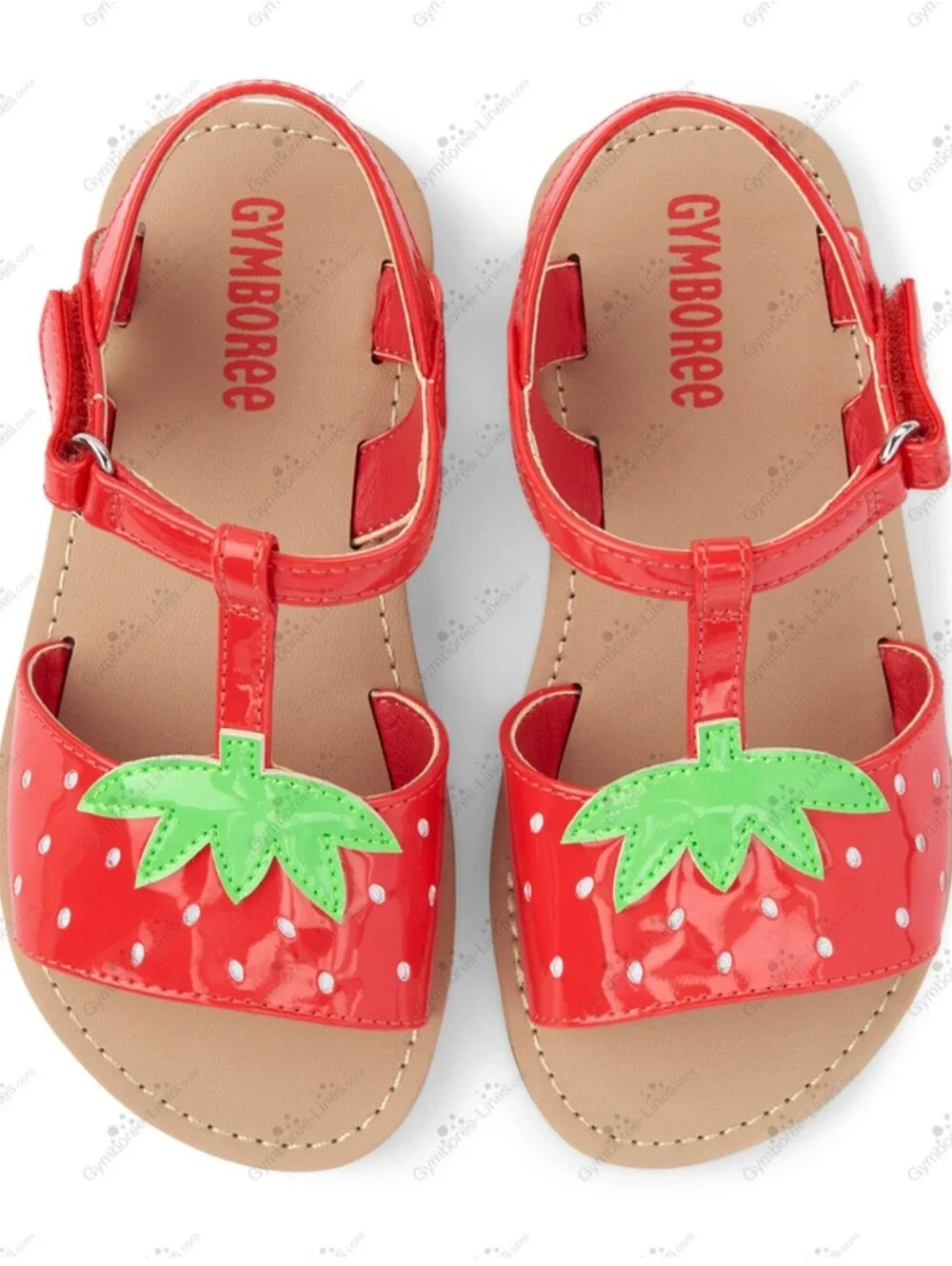 Gymboree 